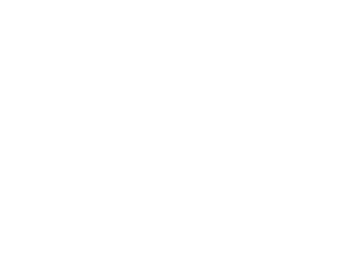 tortoise general store
